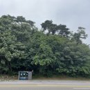 강릉고 입구(버스정류장) 이미지