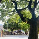 상북수구레국밥 - 울주군 상북로 232 | 울산 큰나무놀이터 울주군 언양 아이와 가기 좋은 곳