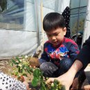 건하농장 이미지