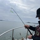 대야도항 이미지