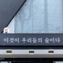 술마켓바 이미지