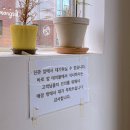 아이스크림콜 | 수원 행궁동 뇨끼 맛집 데이트 추천 콜마이키친 내돈내산 주차 후기