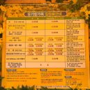 유선원축제(10월중) | 충남 서산 3-4월 봄꽃축제 가볼 만한 곳 유기방가옥 수선화 축제 주말에 다녀온 솔직후기