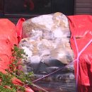 내가보메디텍 이미지