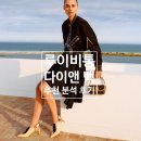 루이비통 다이앤 분석 후기(사이즈, 장단점)
