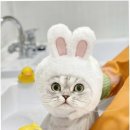 부산고양이미용&호텔 무냥무냥 대연점 이미지