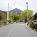 보림민박