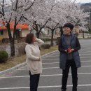 위천수승대 이미지