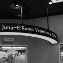 정이룸 동물병원 이미지