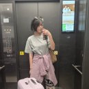 고플립 | [6/5~9] 나트랑 3박5일