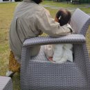 제주 호박 민박 이미지