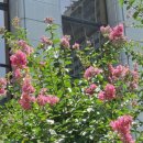 자경농장 이미지