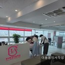 두형제홈케어 | ✂️ 인형 두 마리가 나란히! 8살 '미카' & 2살 '지니' 멋쟁이 형제들의 갓벽한 리즈 갱신 미용 후기 🐾✨