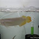 면목동-211 이미지