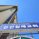 천안침례교회