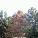 경상북도농약사 이미지