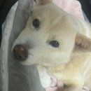 베스트연합의원 이미지