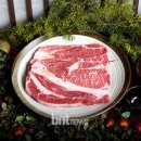 해일축산 Daum카페