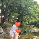 퇴사6주차, 조카두돌, 공주 마곡사, 카페더밸리, 평택 짬뽕지존