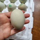 청계복지농장 이미지