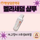 이수약국 이미지