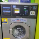 유보라세탁