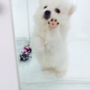바우스토리 이미지