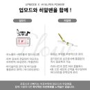 링크 에스테틱