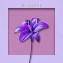 나만고양이없어 이미지