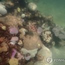 바다사우나 이미지