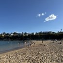 전원공원 | 호주 시드니 바닷가 공원에서 즐긴 무료 바베큐 후기 및 이용 꿀팁