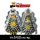 원주민중요양병원 이미지