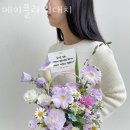 메이플라워대치