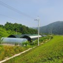 구강농장 이미지