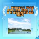 🏌️‍♂️ 태백오투CC 1박2일 패키지 완벽 가이드 | 구름 위 골프장에서의 감동 체험기
