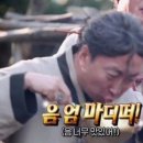 곱진감래 이미지