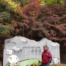 상백2 이미지