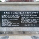 일출농산물유통 이미지