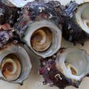 우도기행 이미지