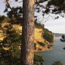 마켓인사이드 이미지