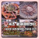 [속초 대포항 맛집] 신선한 해물이 가득한 대포어촌횟집 콩새네회센터 대게 활어회 세트 솔직후기 🦀