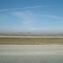 애비뉴 비너스 전문점 | 2004/12/18-19 또 시카고 여행