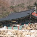 월악산건강원