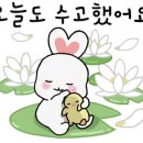 홍가떡 이미지