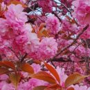 경주, 머물다4 이미지