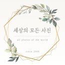 산내들생태어린이집 | '세상의모든사진' (구)감성스튜디오에서 촬영한 예쁜우리아가 200일 촬영-성장앨범추천해요!