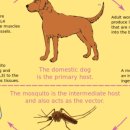 정동물약국 이미지