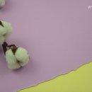 한빛고시원 - 강서구 강서로56가길 59 | 한빛고시원