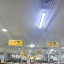 맘모스회센터28호