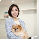 어반퍼피